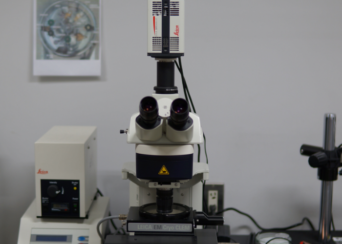 クライオ光学顕微鏡 写真