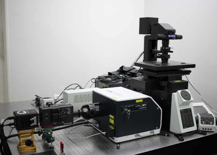 スピニングディスク共焦点レーザー顕微鏡 写真
