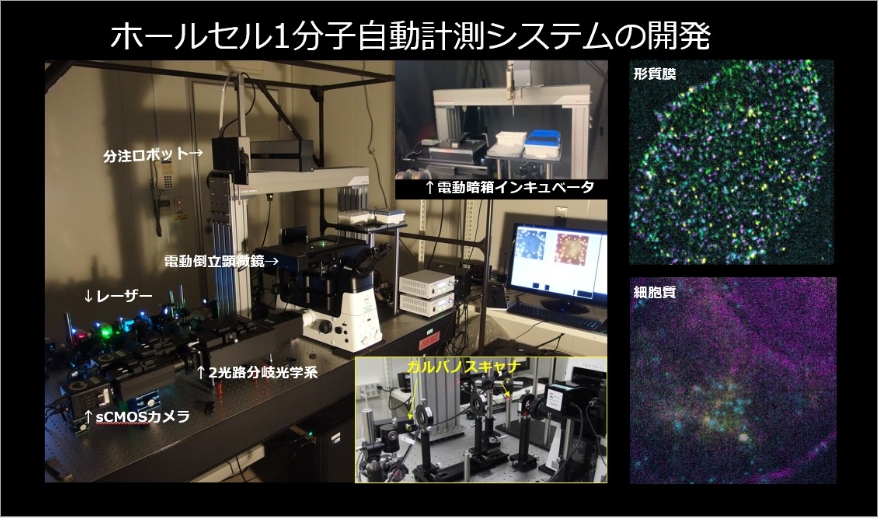 研究概要図