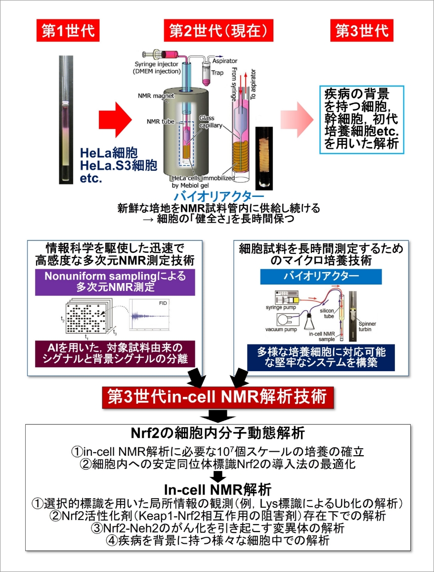 研究概要図