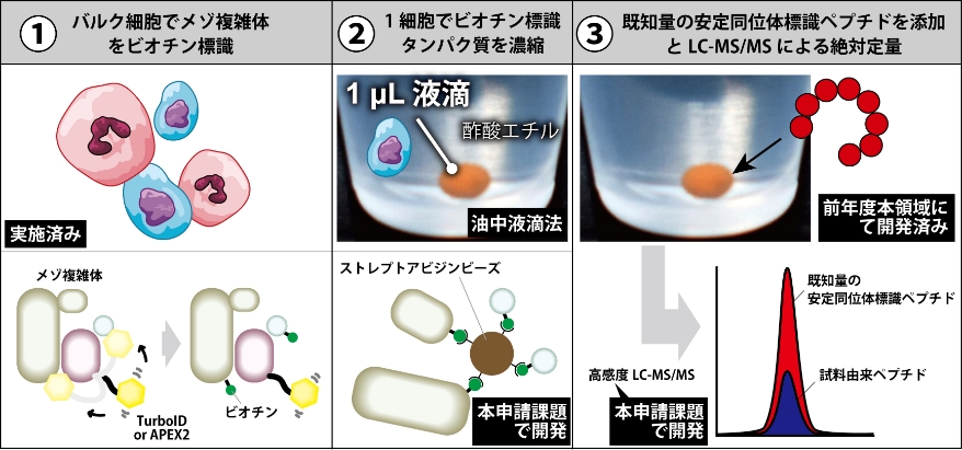 研究概要図