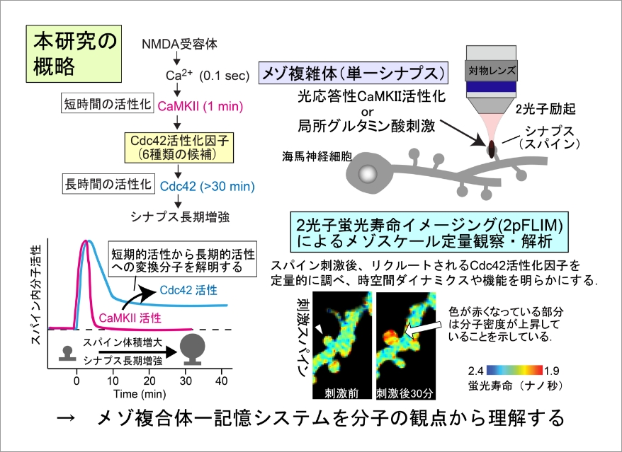 研究概要図